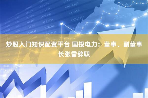 炒股入门知识配资平台 国投电力：董事、副董事长张雷辞职