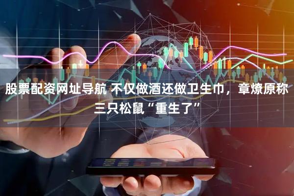 股票配资网址导航 不仅做酒还做卫生巾，章燎原称三只松鼠“重生了”