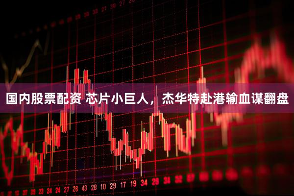 国内股票配资 芯片小巨人，杰华特赴港输血谋翻盘