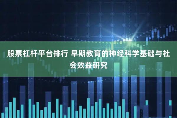 股票杠杆平台排行 早期教育的神经科学基础与社会效益研究